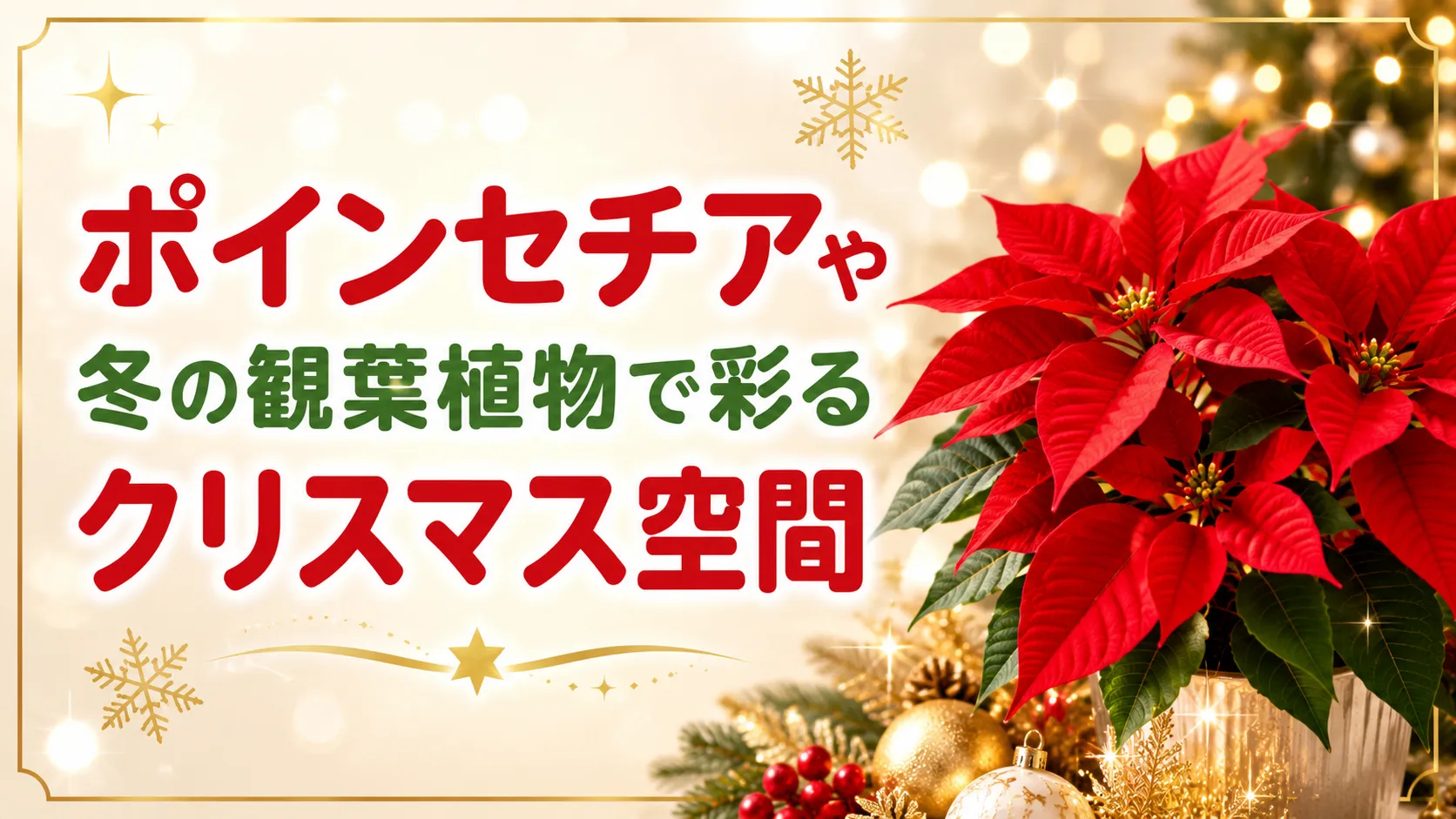 ツリーだけじゃない！ポインセチアや冬の観葉植物で彩るクリスマス空間