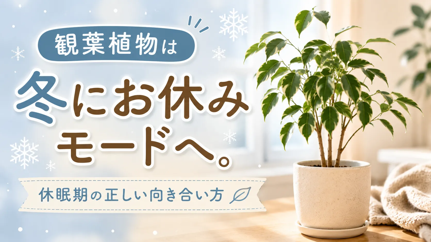 観葉植物は冬にお休みモードへ。休眠期の正しい向き合い方