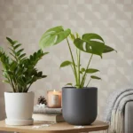 観葉植物は冬にお休みモードへ。休眠期の正しい向き合い方