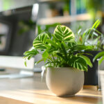 オフィスのデスクにおすすめの観葉植物12選|選び方や注意点も紹介