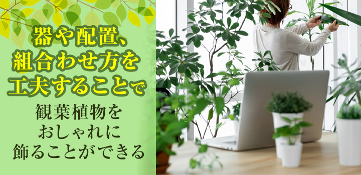 オフィスのデスクに映える観葉植物のおしゃれな飾り方