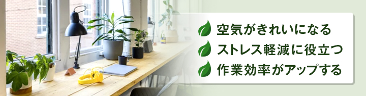事務所に観葉植物を置くメリット