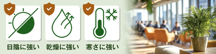 オフィス環境に合った植物を選ぶ