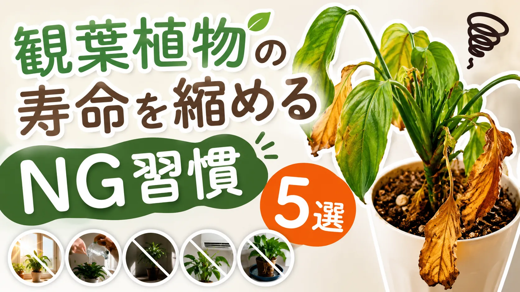 観葉植物の寿命を縮める「NG習慣」5選！今日からやめるべきこと