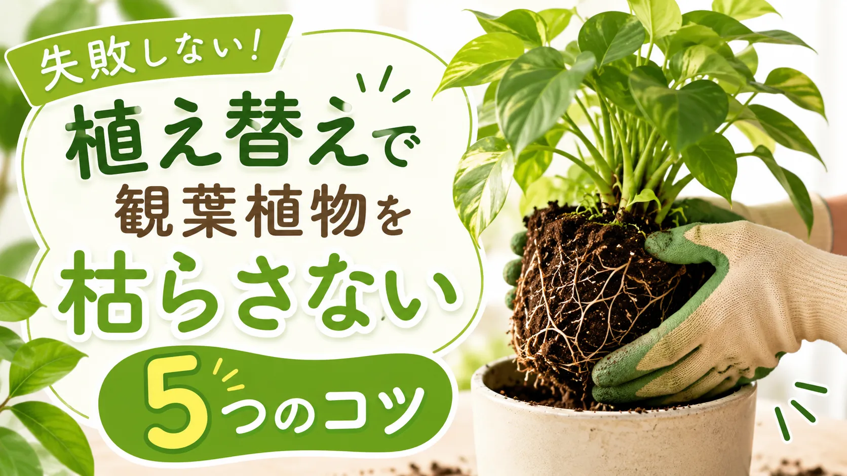 失敗しない！植え替えで観葉植物を枯らさない5つのコツとトラブル回避法