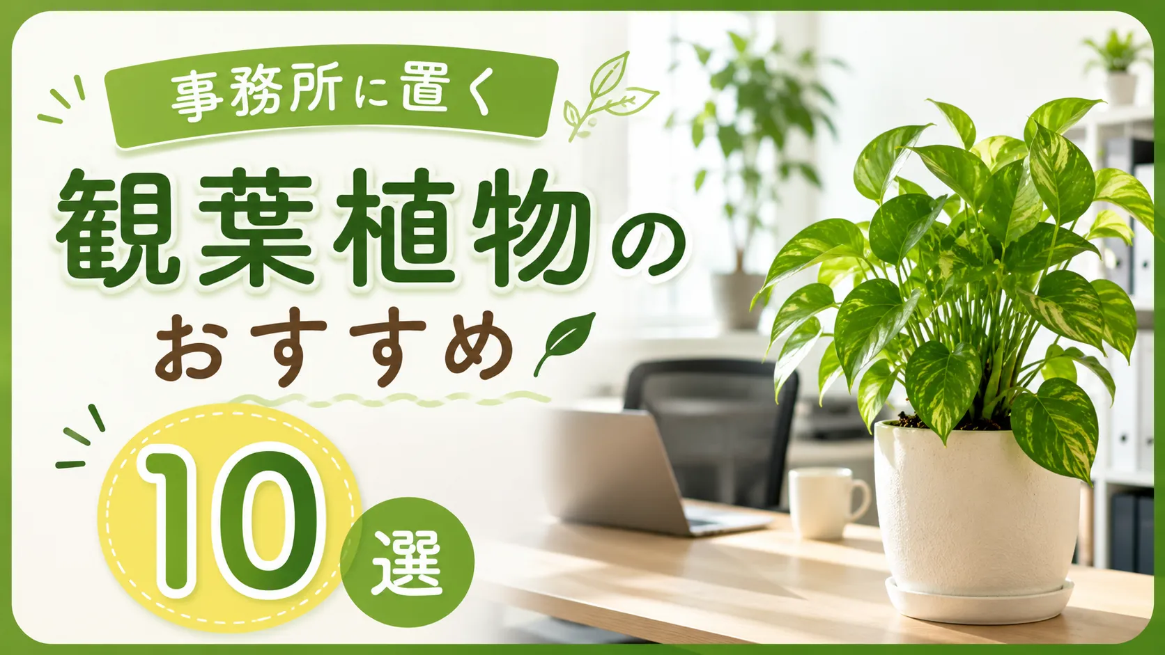 事務所に置く観葉植物のおすすめ10選｜選び方や置き方のポイントを解説
