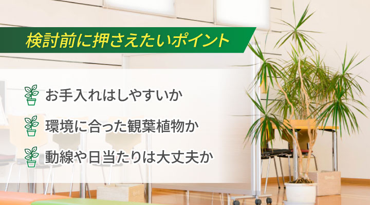 オフィスで観葉植物レイアウトを検討する前に押さえたいポイント