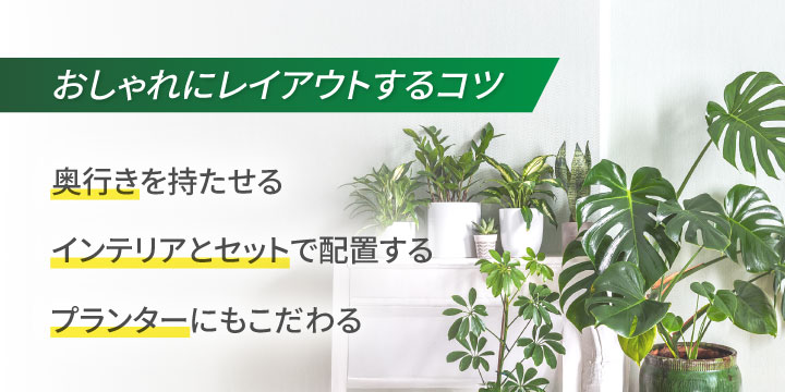 オフィスで観葉植物をおしゃれにレイアウトするコツ