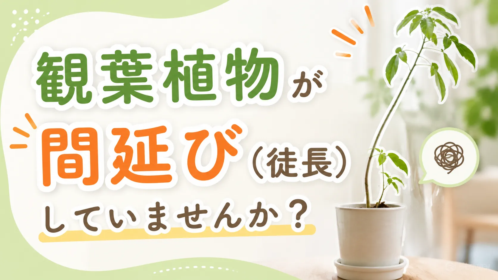観葉植物が間延び（徒長）していませんか？ヒョロヒョロを防ぐための簡単ガイド