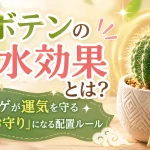 サボテンの風水効果とは？トゲが運気を守る「お守り」になる配置ルール