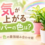運気が上がる鉢カバーの色は？観葉植物×色の最強組み合わせ術