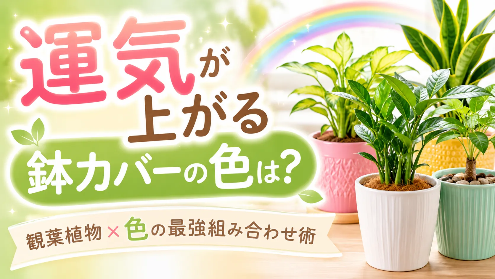 運気が上がる鉢カバーの色は？観葉植物×色の最強組み合わせ術