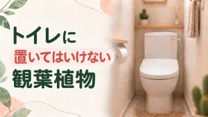 トイレに置いてはいけない観葉植物とは？風水のタブーを避けて運気を守る方法