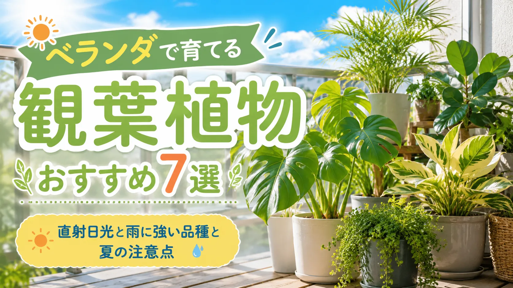 ベランダで育てる観葉植物おすすめ7選｜直射日光と雨に強い品種と夏の注意点