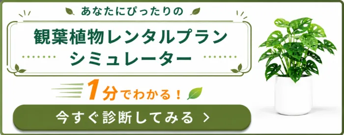 観葉植物レンタル_プランシュミレーション