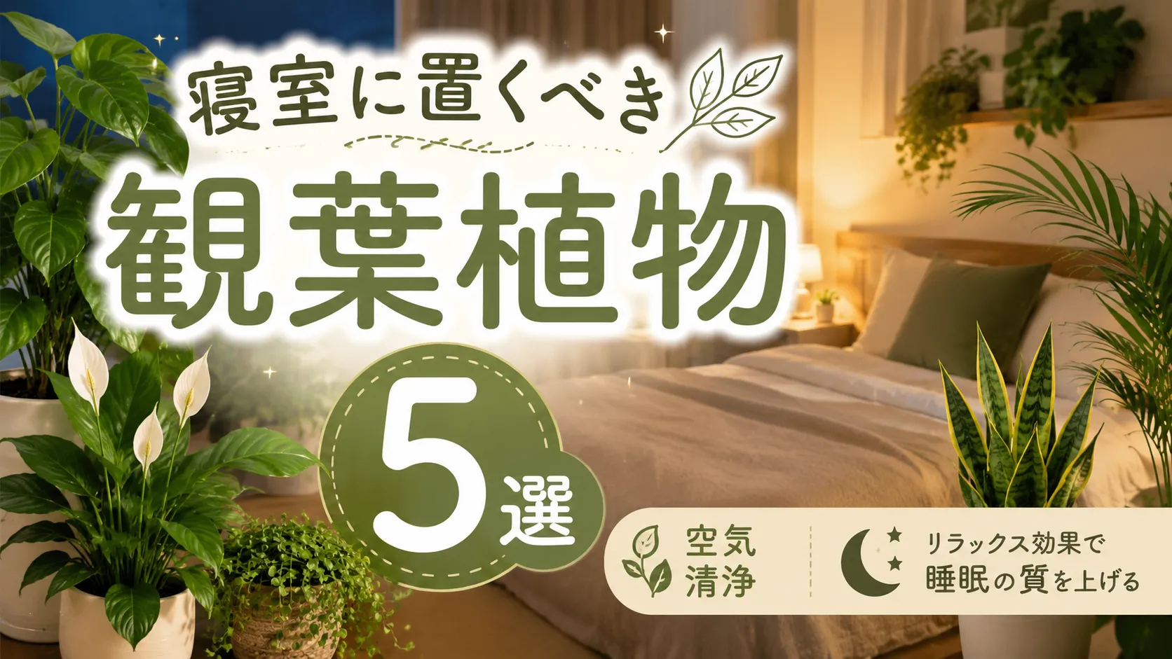寝室に置くべき観葉植物5選|空気清浄・リラックス効果で睡眠の質を上げる