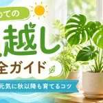 初めての夏越し完全ガイド｜観葉植物を元気に秋以降も育てるコツ