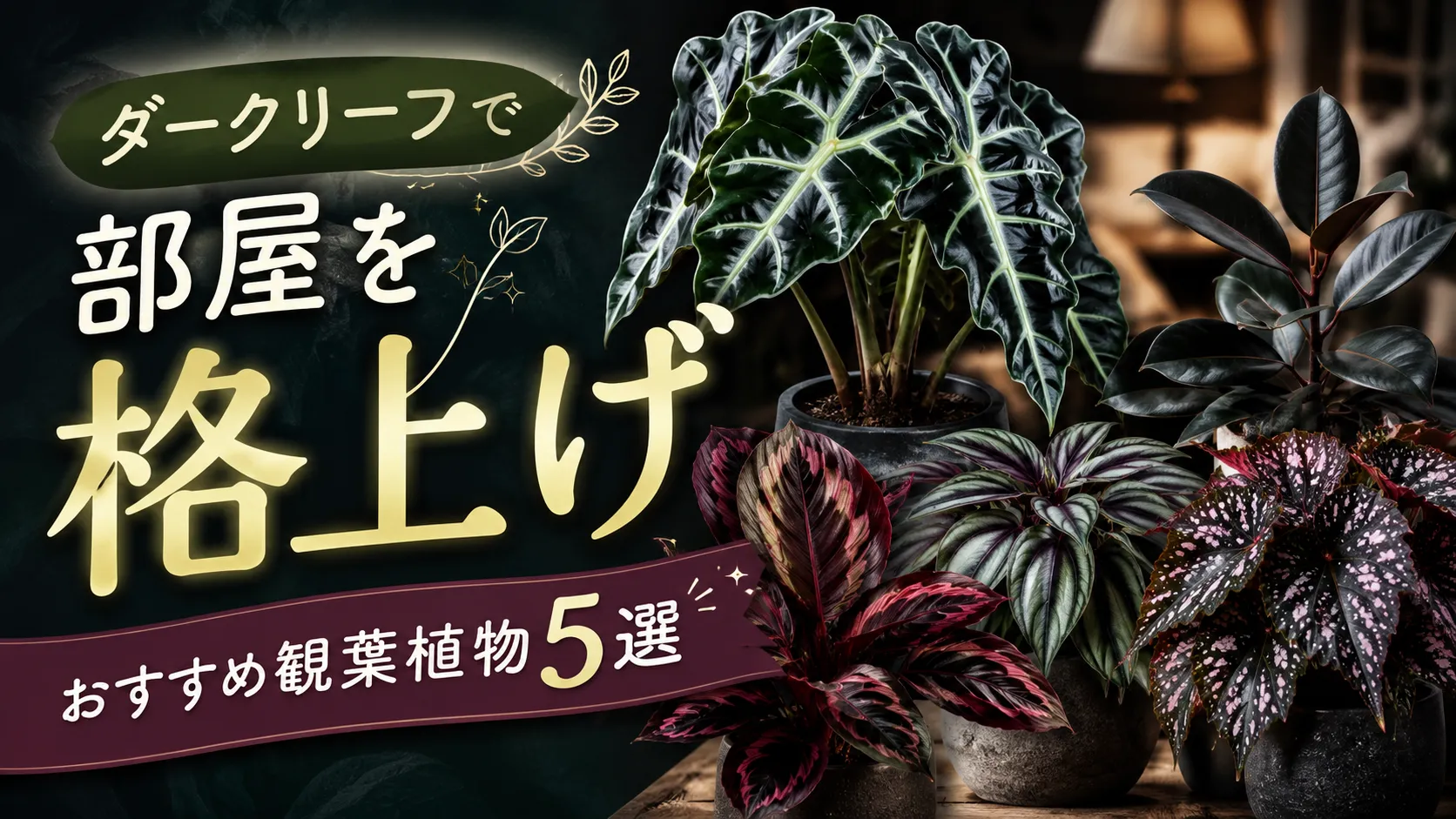 ダークリーフで部屋を格上げ｜個性的な葉色の観葉植物おすすめ5選