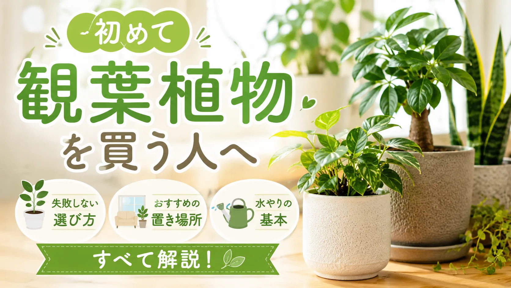 初めて観葉植物を買う人へ｜失敗しない選び方・置き場所・水やりの基本をすべて解説