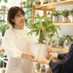 縁起のいい観葉植物ギフト完全ガイド｜開店・引越し・結婚など場面別おすすめ