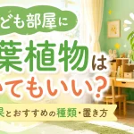 子ども部屋に観葉植物は置いてもいい？風水効果とおすすめの種類・置き方
