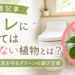 トイレに置いてはいけない観葉植物とは？風水のタブーを避けて運気を守る方法