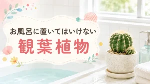 お風呂に置いてはいけない観葉植物｜風水NGの理由と選び方