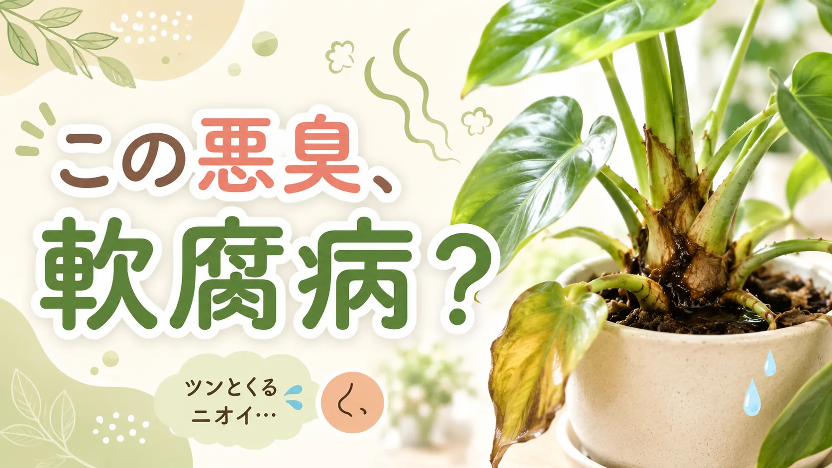 観葉植物の悪臭は軟腐病のサイン？根腐れとの違いと見分け方