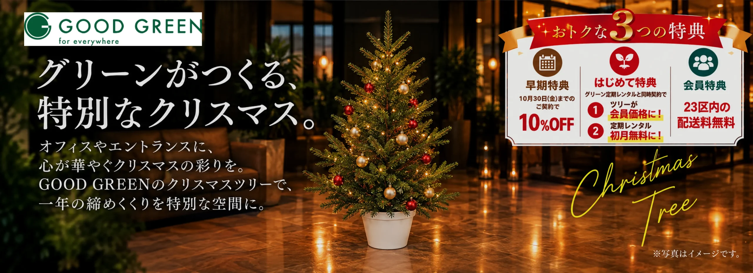 クリスマスツリーご予約受付中 10/31までの早期ご成約で10%OFF