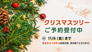 2026年クリスマスツリーのご予約受付中【11月6日(金)まで】