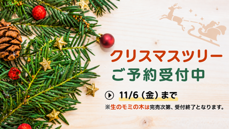 2026年クリスマスツリーのご予約受付中【11月6日(金)まで】