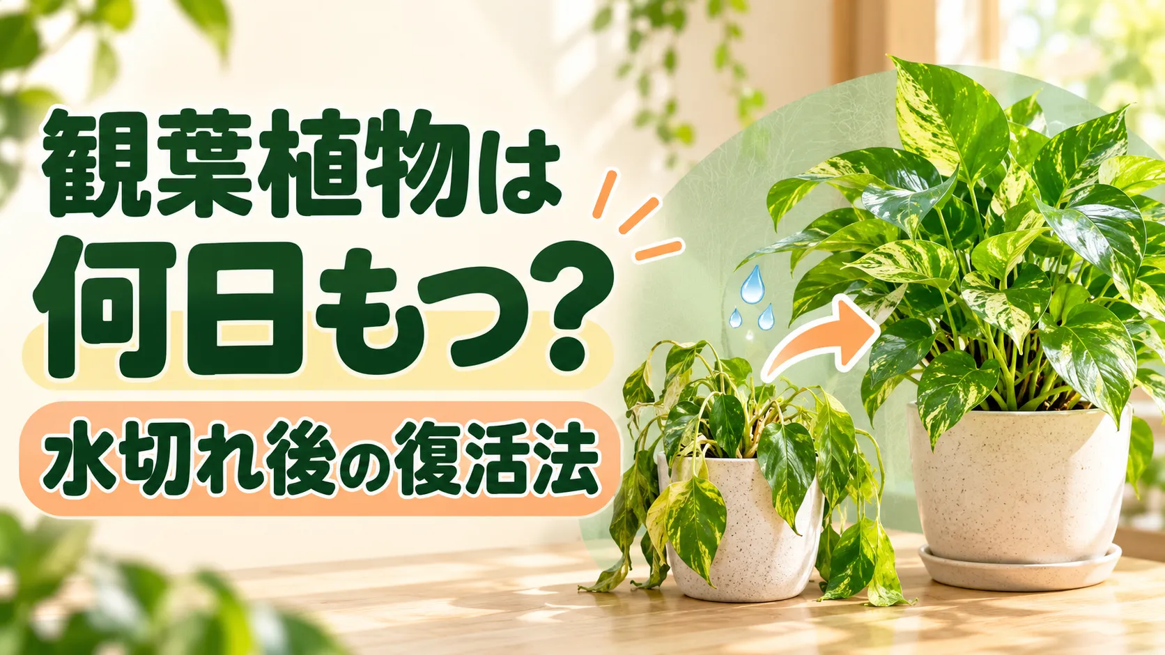 水やりを忘れた！観葉植物は何日もつ？水切れ後の復活法