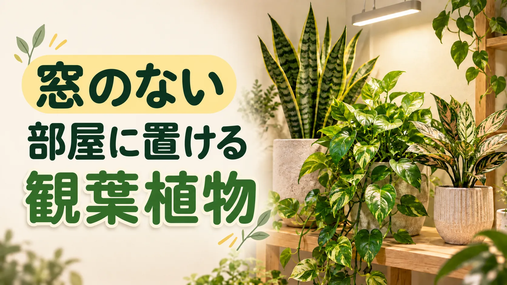 窓のない部屋に置ける観葉植物5選｜育成ライトで元気に保つコツ